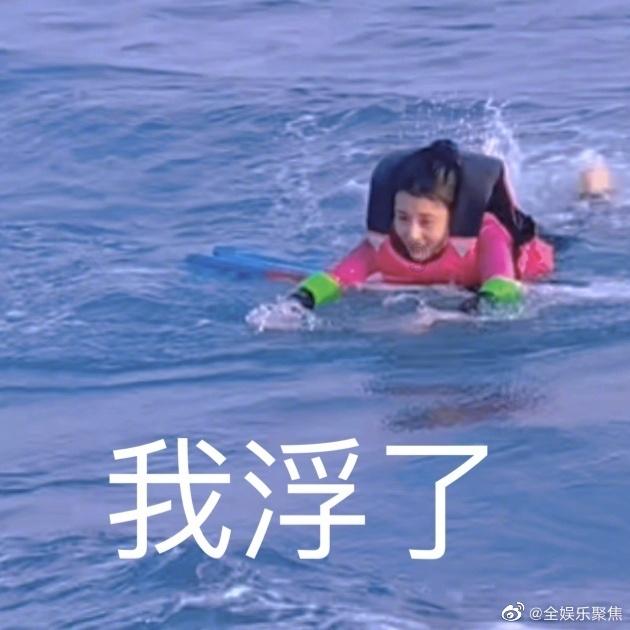 救援受困的火鸡