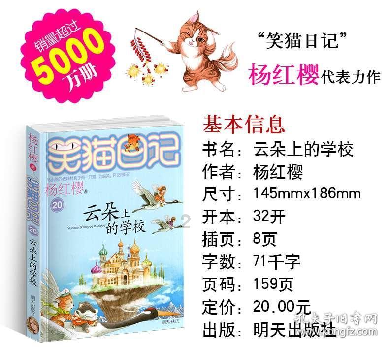拯救受伤的猫